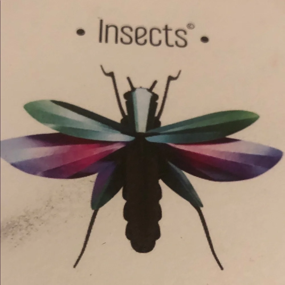 Moma Grasshopper Wall Puzzle Green, Purple, Teal, Pink, Black